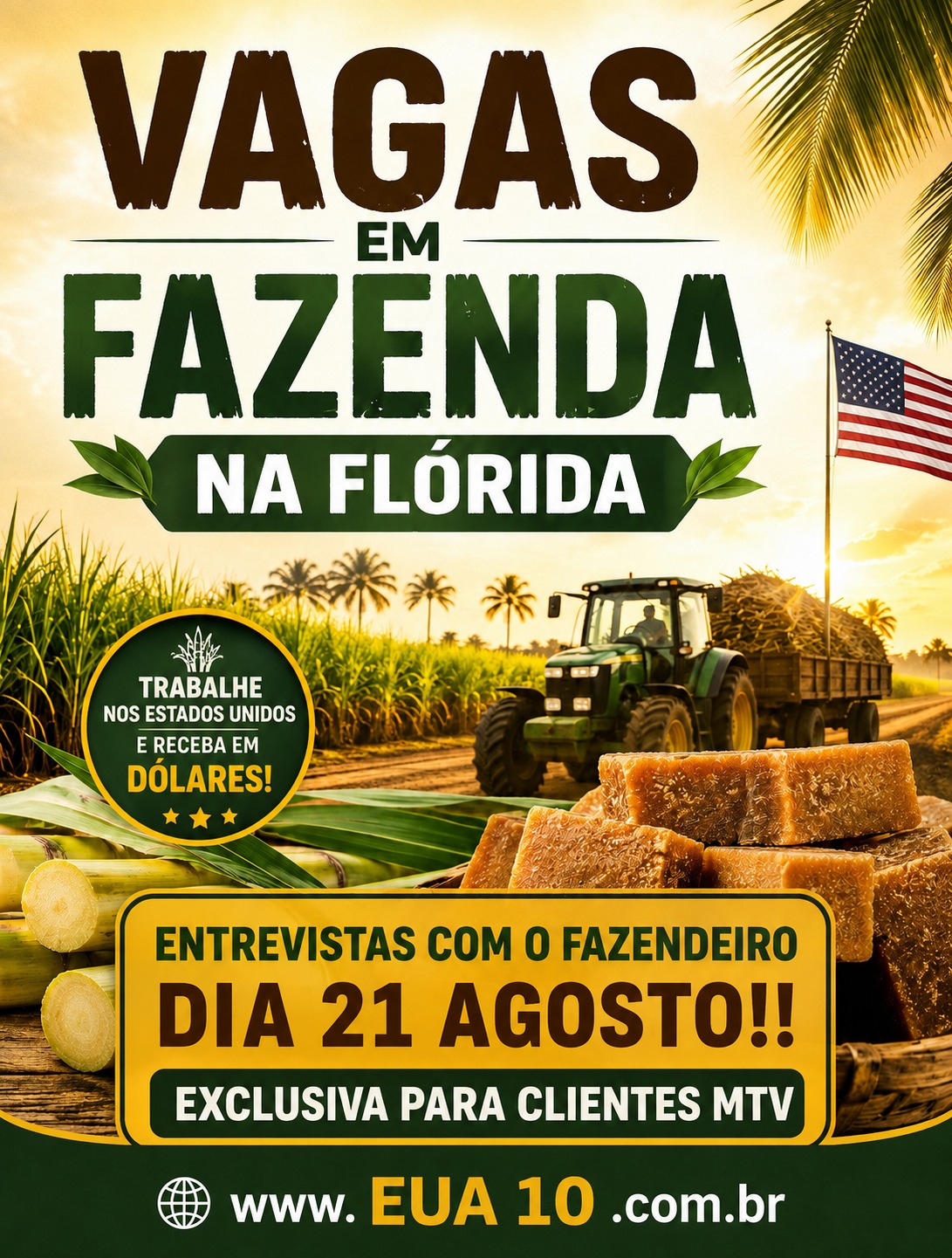 WhatsApp Image 2026-08-12 at 19.23.57.jpeg