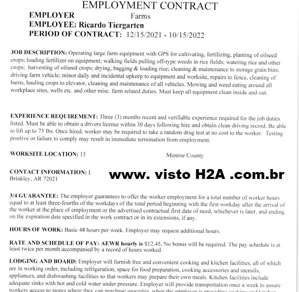 exemplo contrato ricardo.jpg