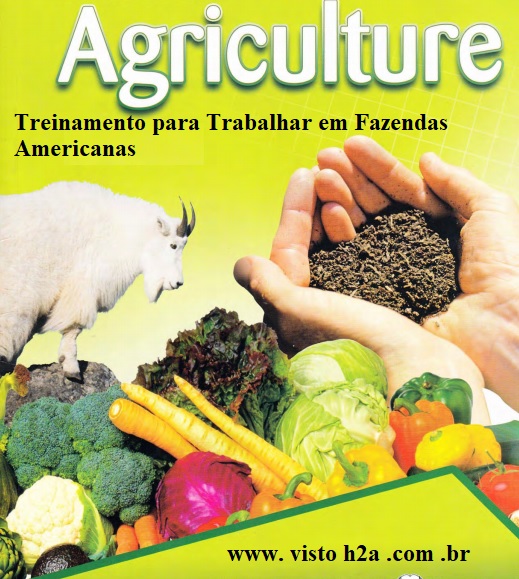 curso fazendas americanas.jpg