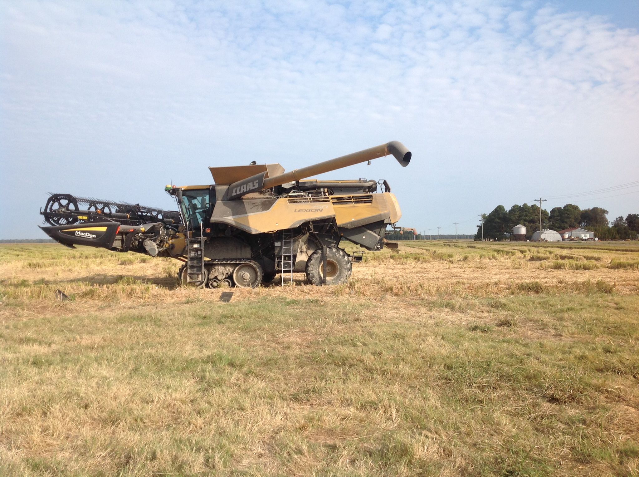 WhatsApp Image 2021-07-16 at 14.03.50.jpeg